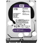 DISCO DURO WESTERN DIGITAL PURPURA DE 1 TB